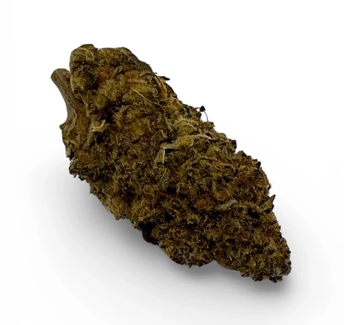 Mimosa product photo