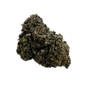 Truffle Monkey