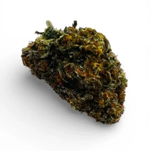 Rambo Kush