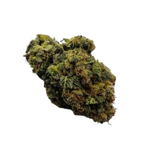Pink Bubba