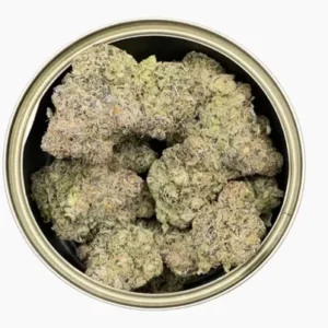 The Force| Quad Tin Can