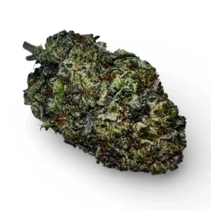 Greasy Pink Bubba