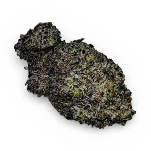 Magma Kush