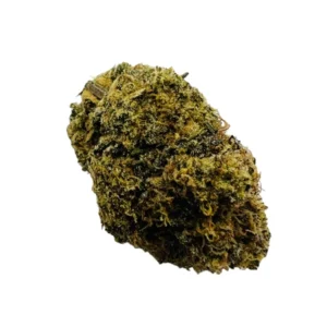 White Truffle