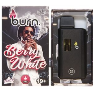 BURN - DIsposable Vapes 3g