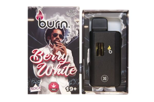 BURN - Disposable Vapes 3g product photo
